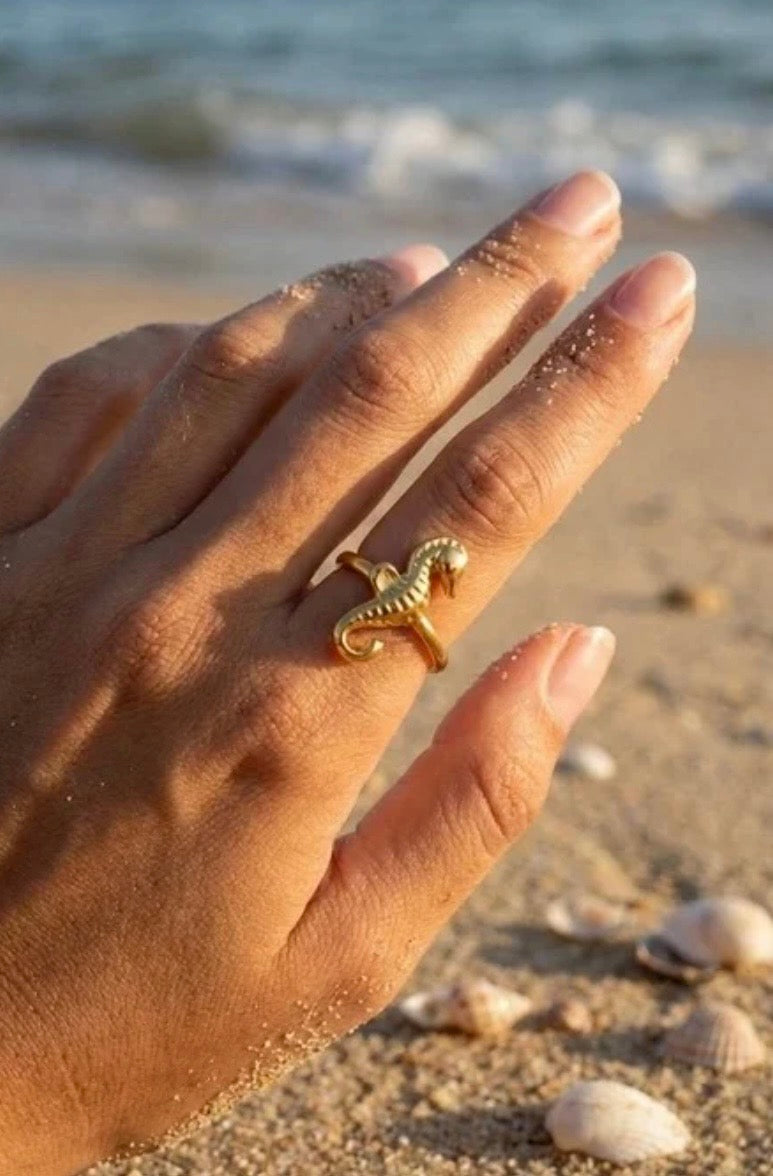 Ring zeepaardje