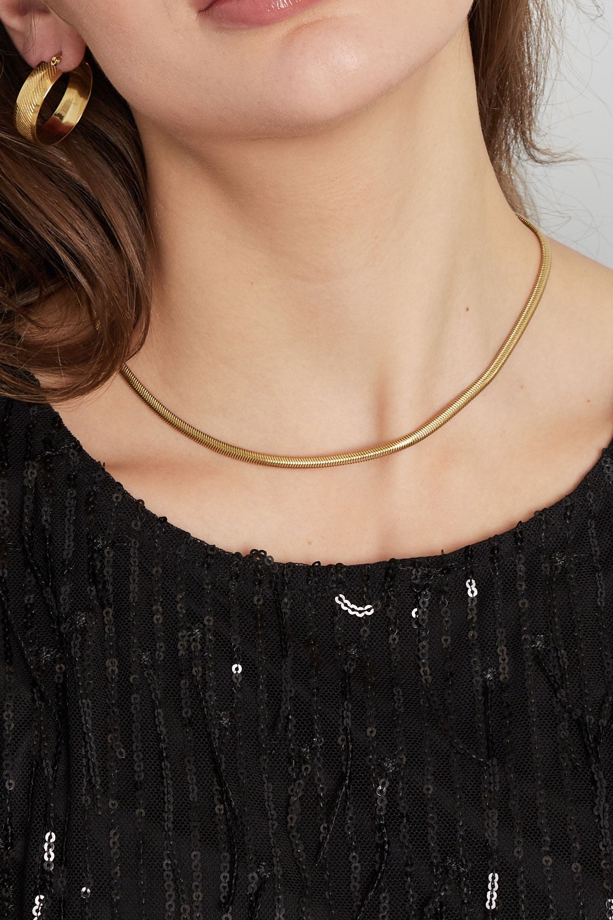 Ketting snake