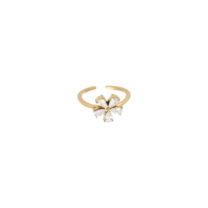 Ring Lieve