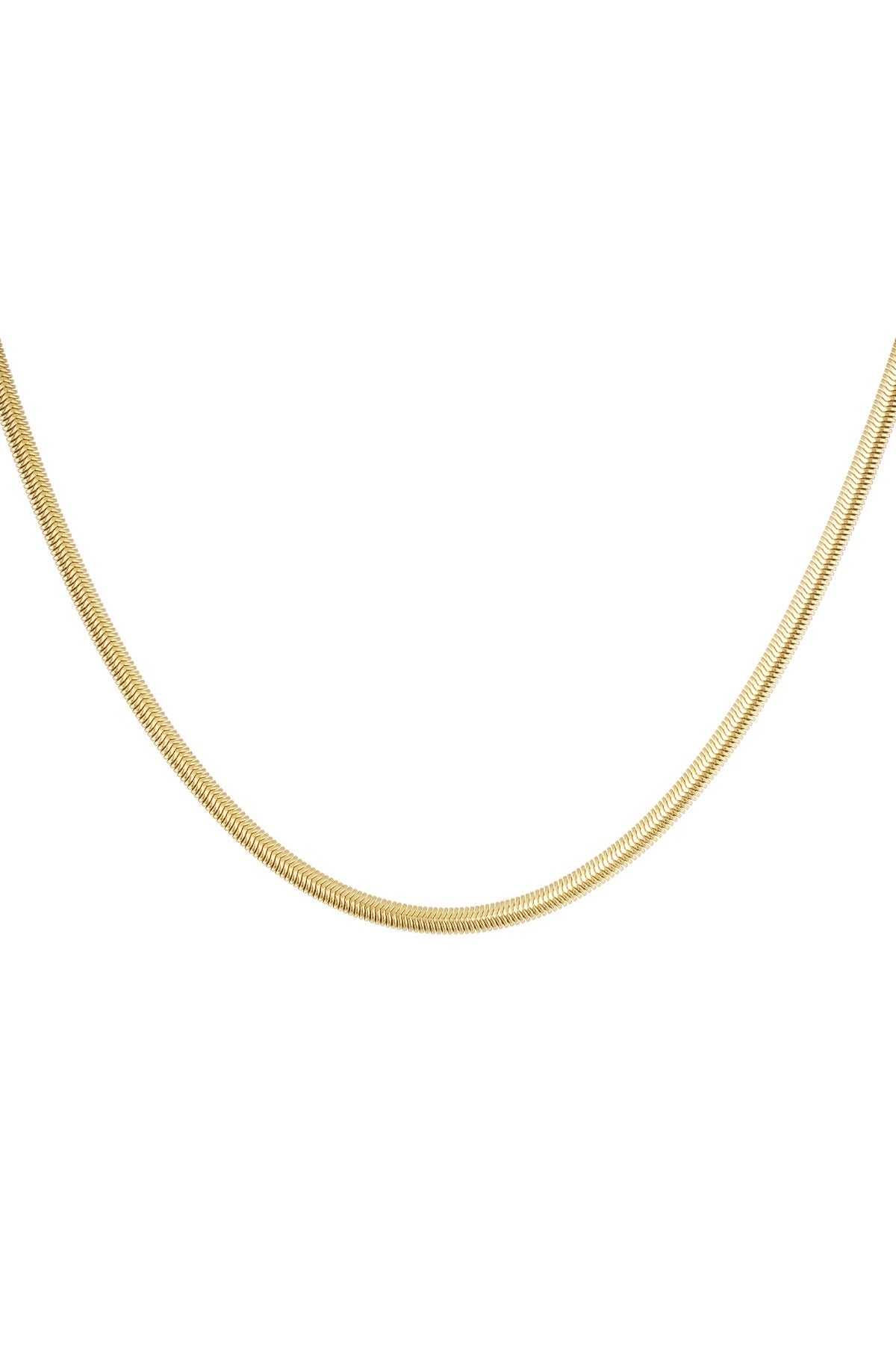 Ketting snake