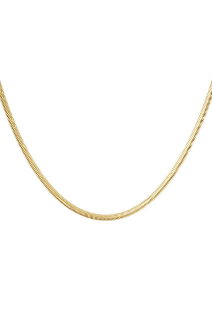 Ketting snake