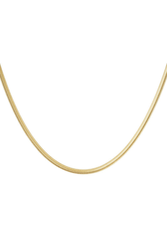 Ketting snake