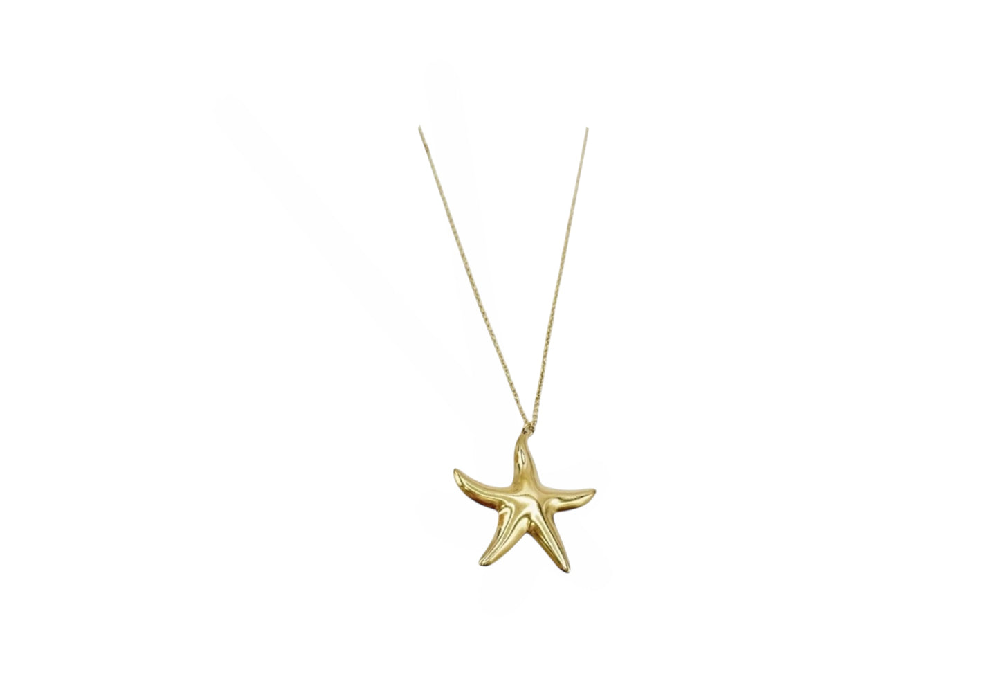 Ketting zeester